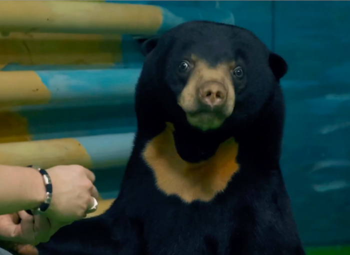 Turogo.ru - Туризм, охота и рыбалка