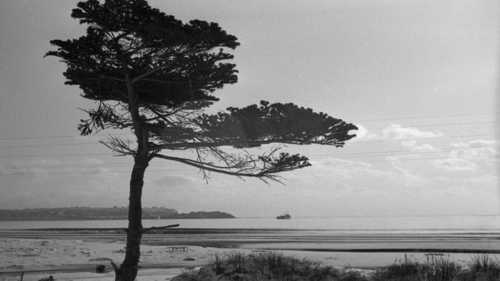 Turogo.ru - Туризм, охота и рыбалка