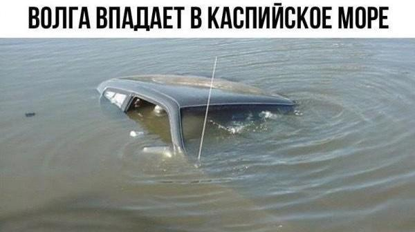 Смешные мемы и картинки о море