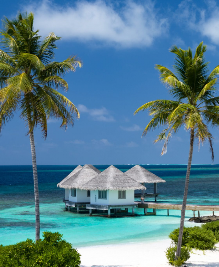 Блеск серебра: новогодние праздники в отеле Cora Cora Maldives