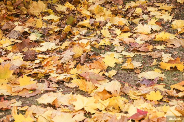 Что ни в коем случае нельзя делать в Иванов день 1 ноября: традиции и приметы