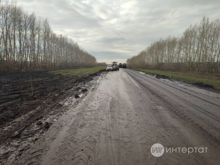 Татлы тамыр казып алына: Чөгендер басуында батмадык, шикәр заводына керә алмадык