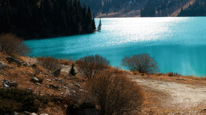 Морская рыба живет с пресноводной: озеро в России, которое не должно существовать