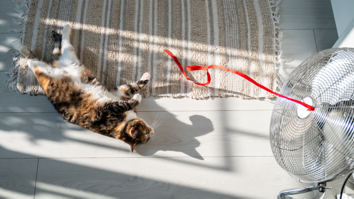 Почему немцы проветривают жилье в любую погоду