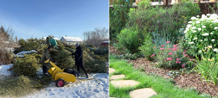 Новогоднюю ёлку сдали на переработку? Вот что из неё делают дальше