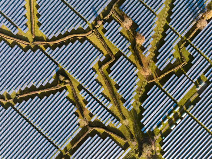 Фотограф дикой природы года 2026