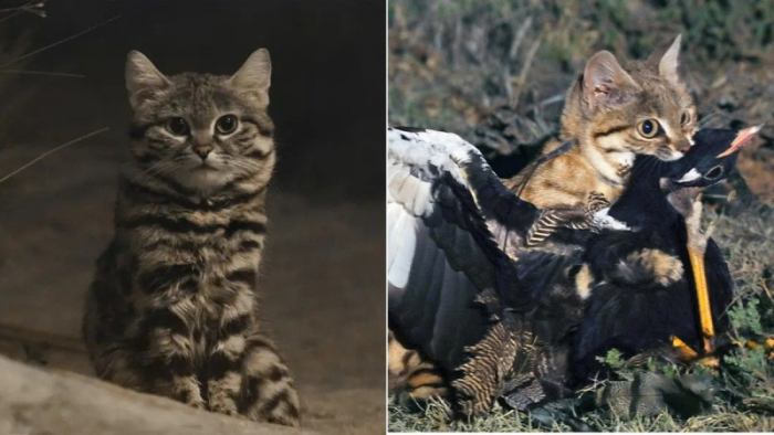 Turogo.ru - Туризм, охота и рыбалка