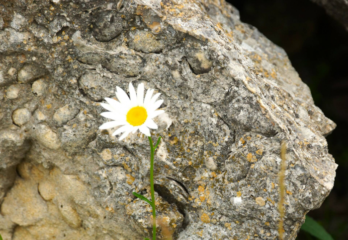 Turogo.ru - Туризм, охота и рыбалка