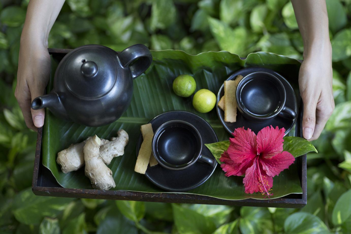 Победить стресс, подружиться с черепахой и прикоснуться к Луне: чем заняться в отпуске в апреле 2026