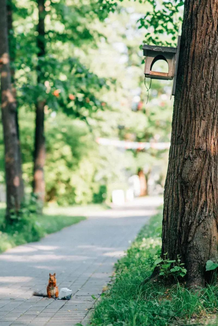 Куда поехать на майские праздники в Подмосковье: 7 проверенных парк-отелей с бассейнами