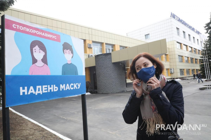 Нижегородцам рассказали о симптомах хантавируса