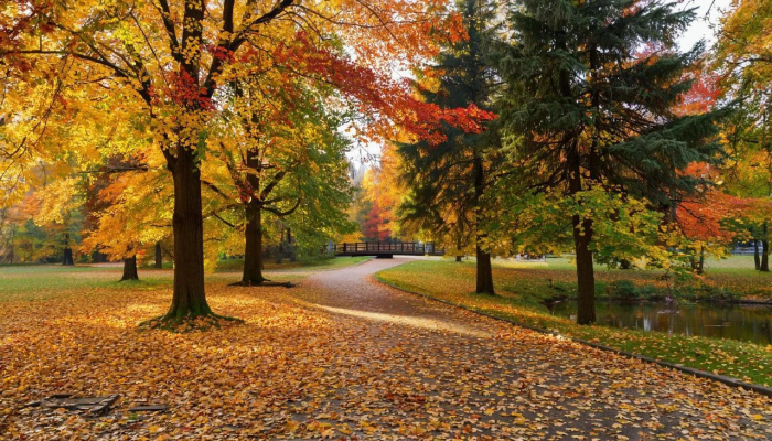 Ноябрьские каникулы: как превратить 3 дня праздника в 10 дней отдыха без потери зарплаты