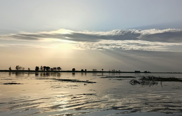 Записки астраханского натуралиста. ...изируя итоги прошедшего паводка