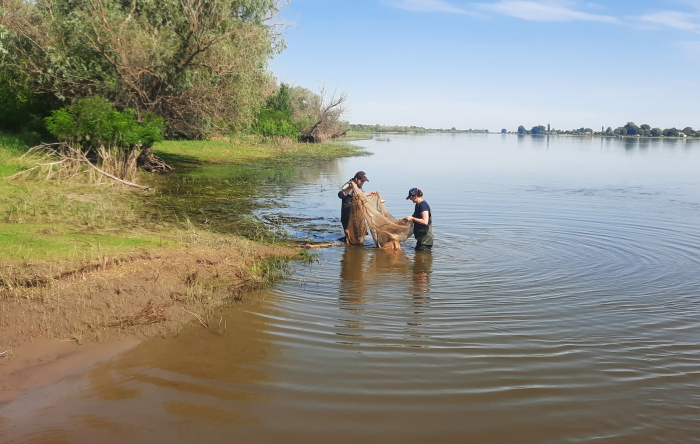 Записки астраханского натуралиста. ...изируя итоги прошедшего паводка
