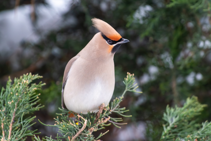 Turogo.ru - Туризм, охота и рыбалка