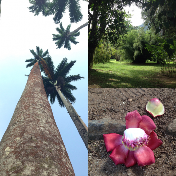 Королевские Педру и красивые Педро (часть первая о Бразилии)