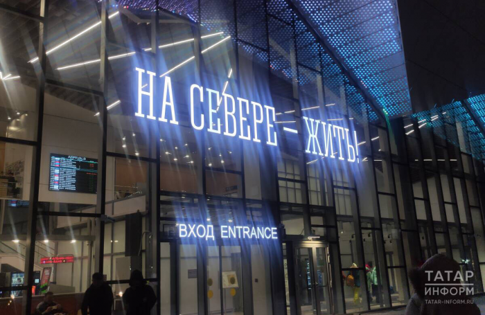 Северное сияние, гонки на хаски, пальмы в тундре: репортаж с края света