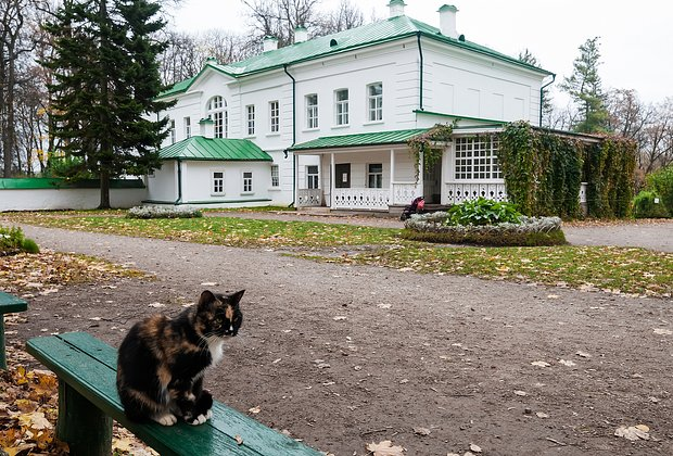 Куда съездить на выходные из Москвы в 2026 году: топ-12 идей для коротких путешествий