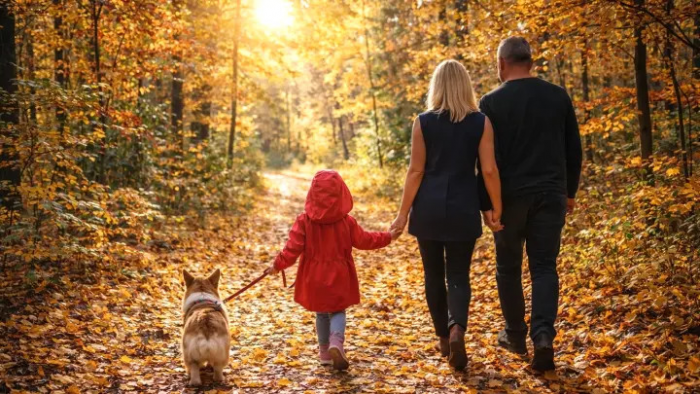Что не так с тропой в Белогорье, где потерялись Усольцевы. Такого ответа я совсем не ожидала