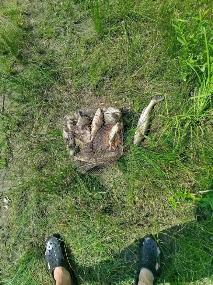 Алтайские рыбаки похвастались богатым уловом и местами клева. Фото