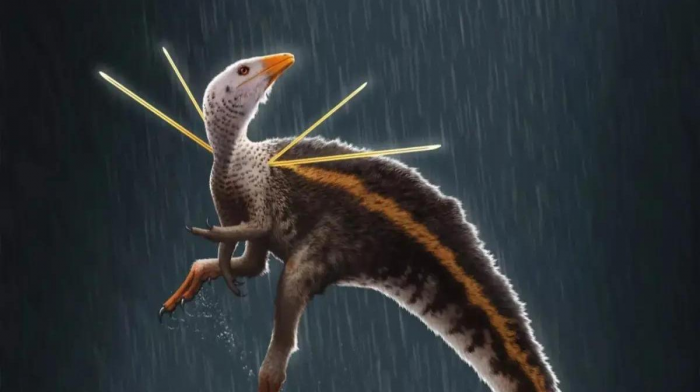 Фрики Юрского периода: 10 динозавров, в существование которых сложно поверить