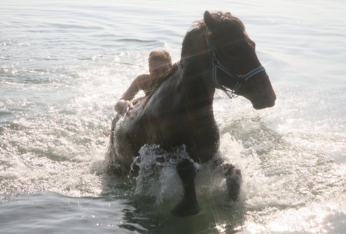 «Закрой глаза и держись за седло» Россиянка преодолела верхом на коне самые труднодоступные маршруты России. Как ей это удалось?