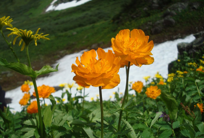 «Закрой глаза и держись за седло» Россиянка преодолела верхом на коне самые труднодоступные маршруты России. Как ей это удалось?