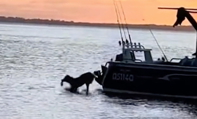 Turogo.ru - Туризм, охота и рыбалка