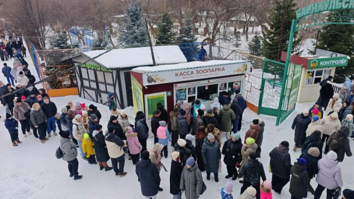 Лучшая массовая сцена и короткометражка. Новости amic.ru - как победители "Оскара"