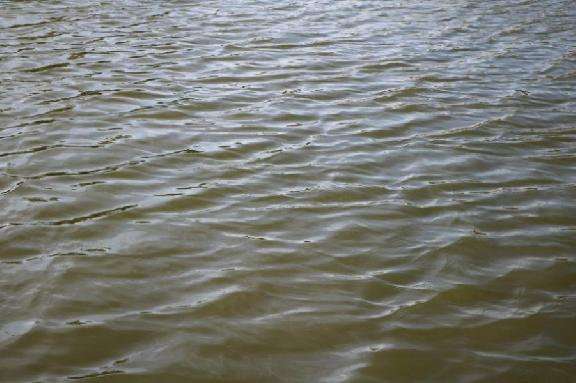 Вода на четырёх пляжах Тамбовской области не соответствует санитарным требованиям