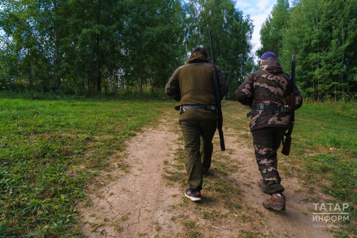 «Потеряли страх перед человеком»: в Татарстане открыли охоту на медведей