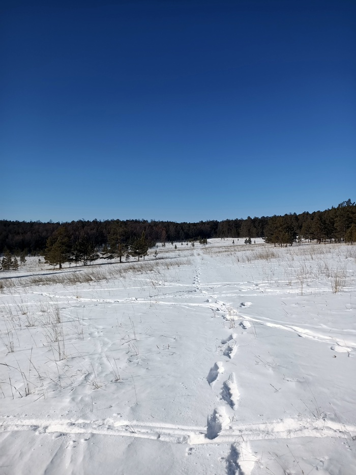 Байкал. Февраль 2023. День 6. Один на один (более 30 км пешки)