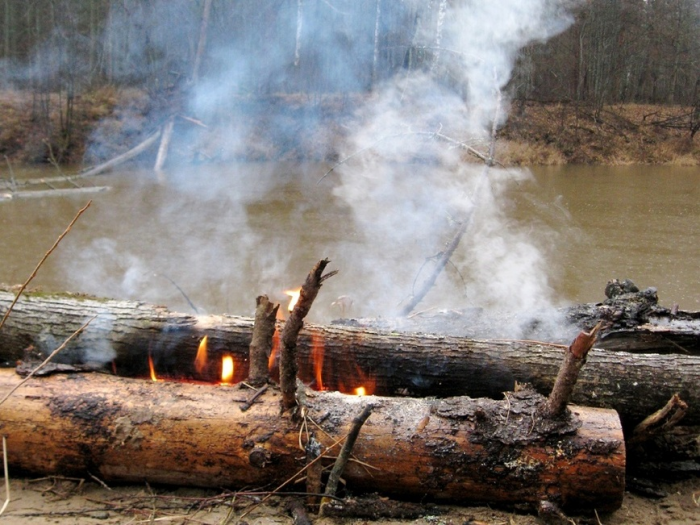 Пришло время налима