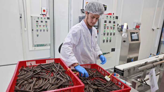 Почему ваниль — это одна из самых дорогих пряностей в мире