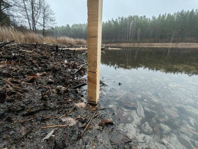 Постигла судьба Морского Глаза? Ученые АН Татарстана изучают угрозу исчезновения Яльчика