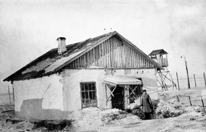 Как остров Вайгач стал символом выживания для заключённых ГУЛАГа