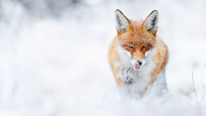 Turogo.ru - Туризм, охота и рыбалка