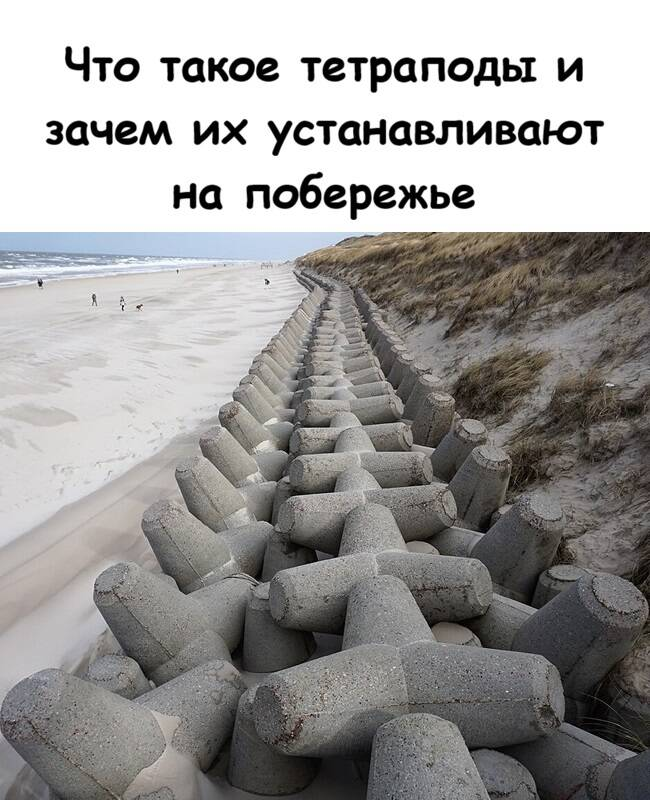 Что такое тетраподы и зачем их устанавливают на побережье
