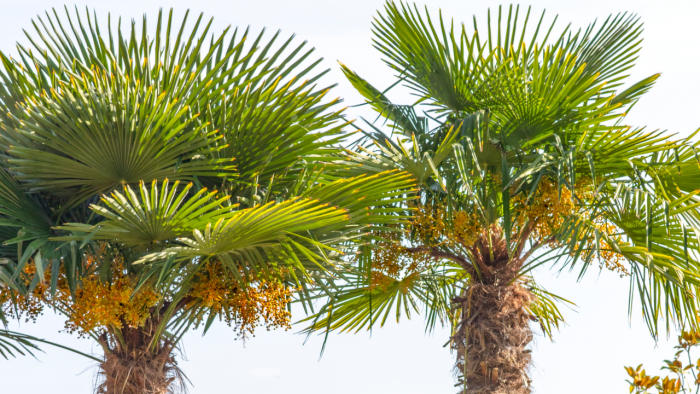 Turogo.ru - Туризм, охота и рыбалка