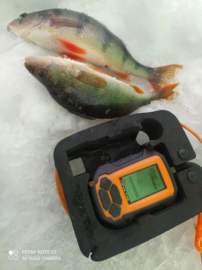 Рыбаки Алтайского края показали солидные последние уловы марта