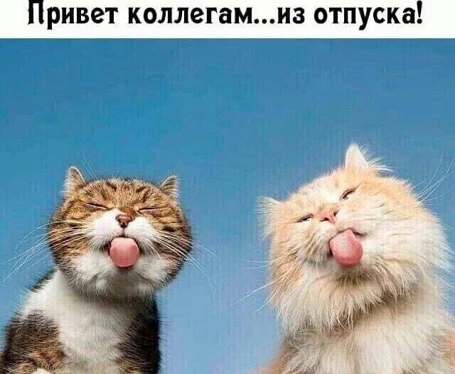 Смешные мемы и картинки про отпуск и отдых