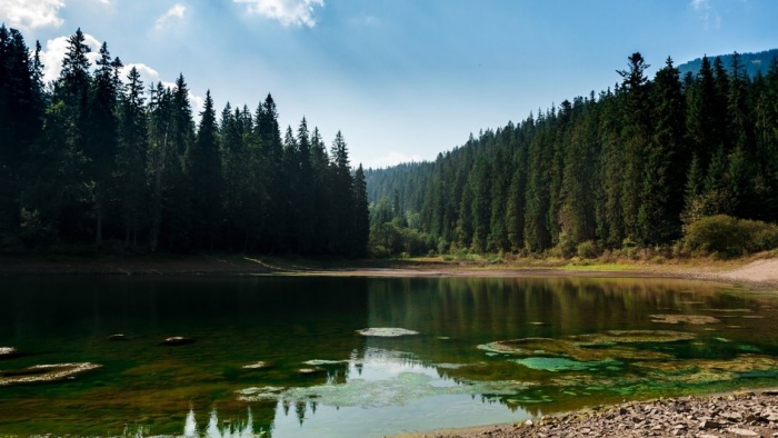 Чем отличаются озеро и пруд?