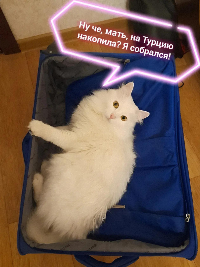 Смешные мемы и картинки о туристах и отдыхающих