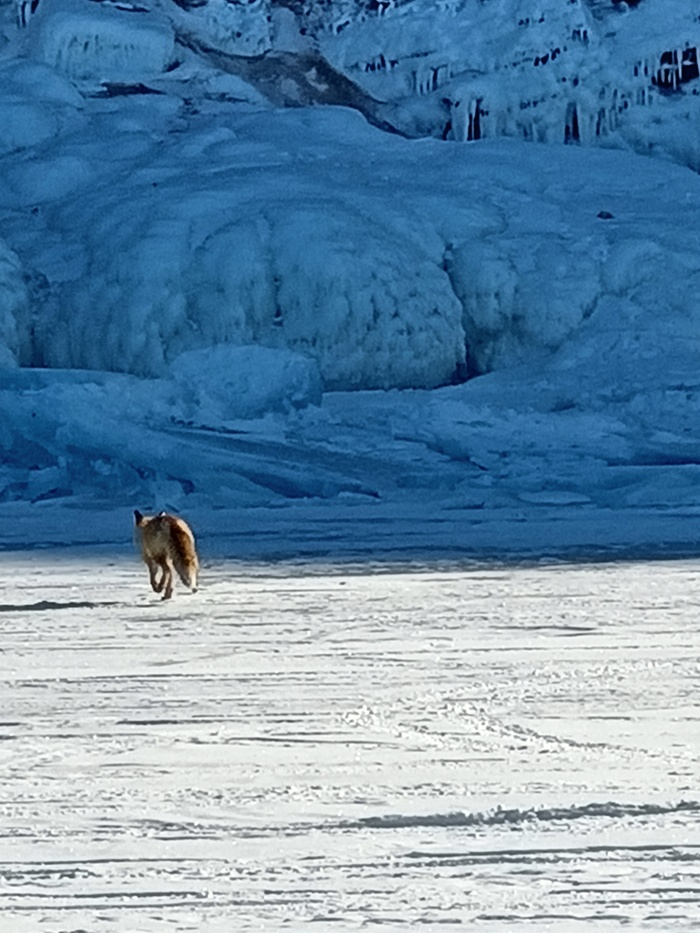 Байкал. Февраль 2023. День 5. Север острова Ольхон