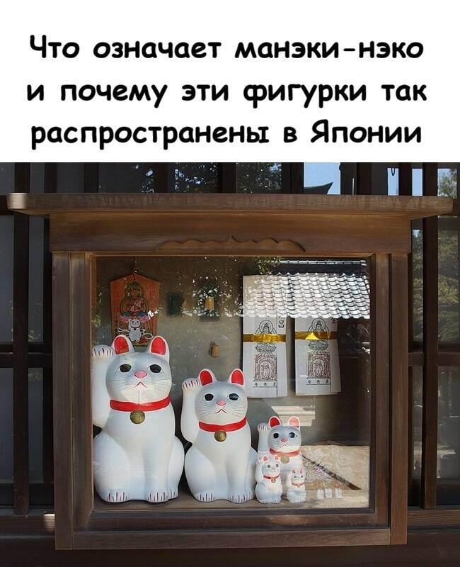 Что означает манэки-нэко и почему эти фигурки так распространены в Японии