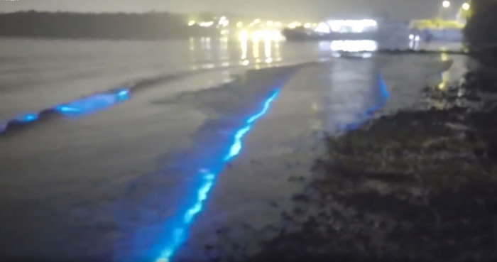 Необычное поведение воды в Азовском море – с чем оно связано