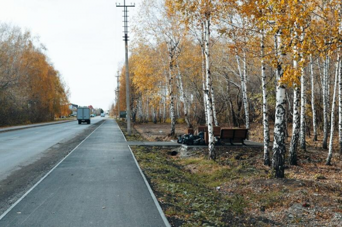 Золото октября. Как осень преобразила березовую рощу на окраине Барнаула