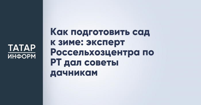 Как подготовить сад к зиме: эксперт Россельхозцентра по РТ дал советы дачникам
