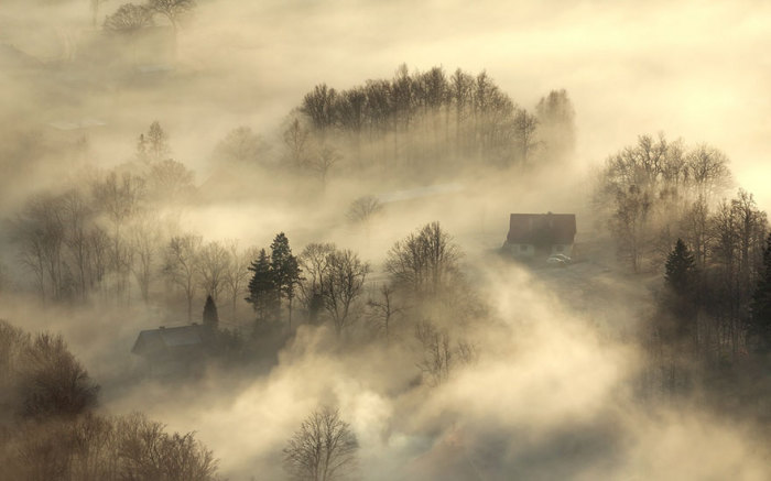 20 удивительных фотографий домов, затерянных в огромных лесах