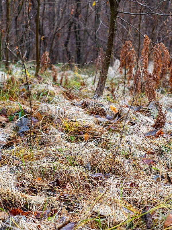 На какой бумажной фабрике Урала делали лучшую бумагу весь ХХ век?
